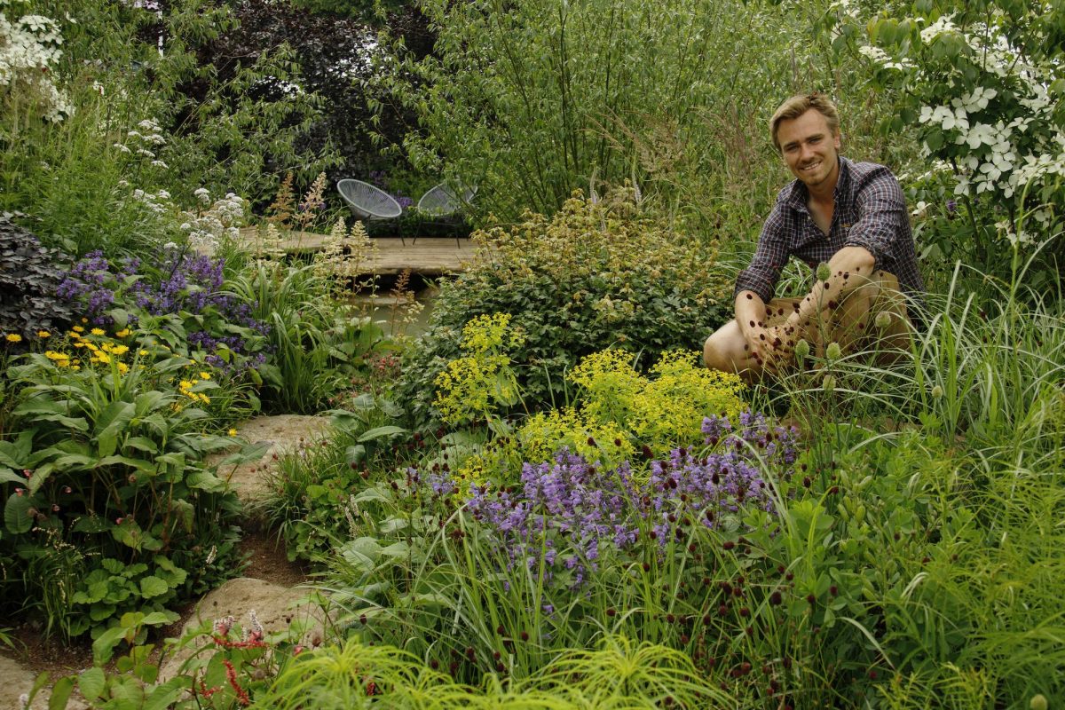 The RHS Hampton Court Garden Festival and Climate Change Gardens