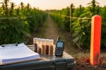 Compliance tools including soil sample vials, a handheld GPS, and a clipboard at the boundary of a small hemp field during golden hour, with blurred rows, a wire fence, and a path in the background.